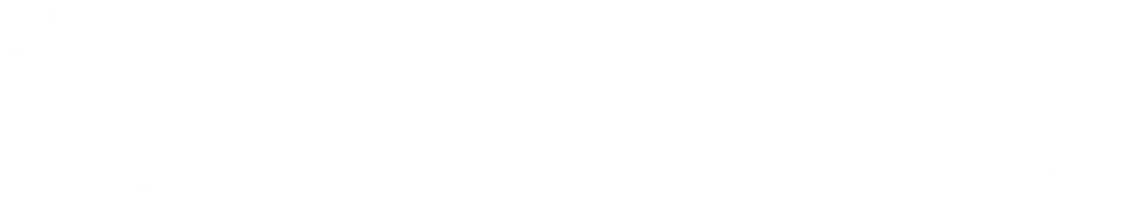WPDestek Footer Logo